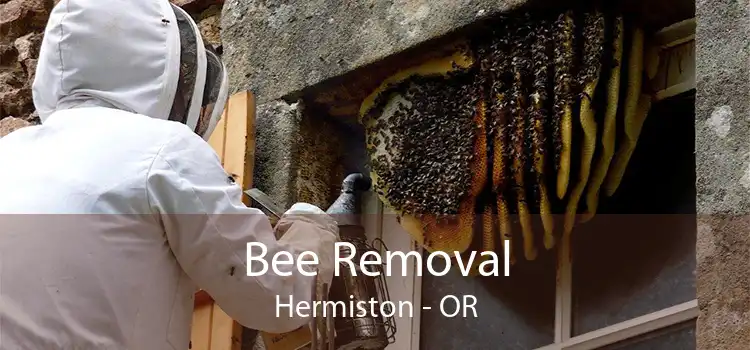 Bee Removal Hermiston - OR