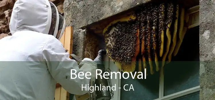 Bee Removal Highland - CA