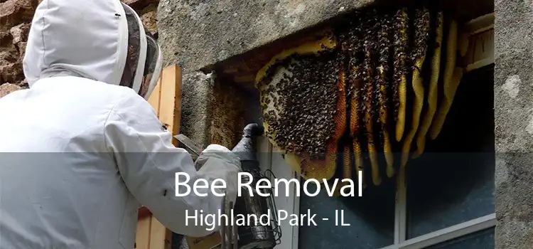 Bee Removal Highland Park - IL