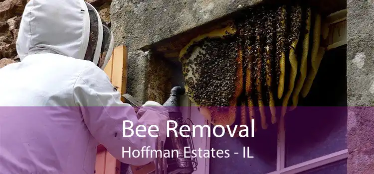 Bee Removal Hoffman Estates - IL