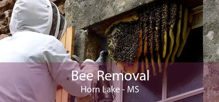 Bee Removal Horn Lake - MS