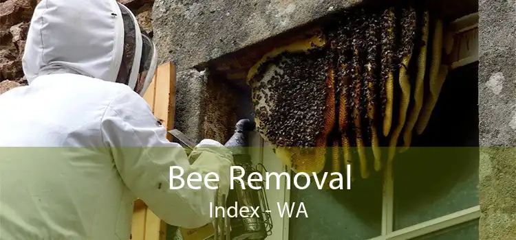 Bee Removal Index - WA