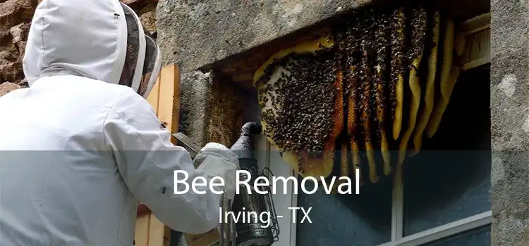 Bee Removal Irving - TX