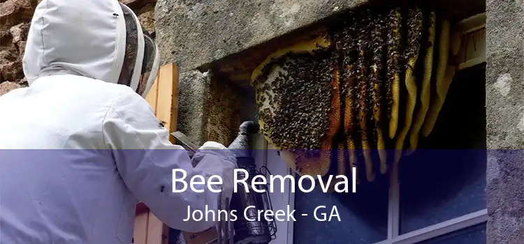 Bee Removal Johns Creek - GA