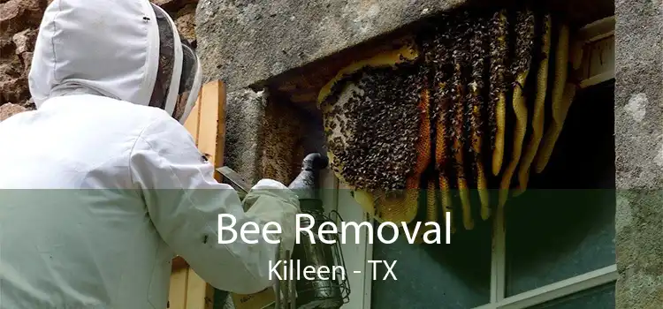 Bee Removal Killeen - TX