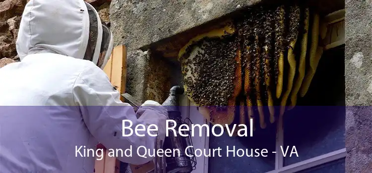 Bee Removal King and Queen Court House - VA