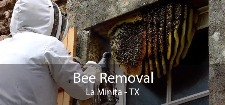 Bee Removal La Minita - TX