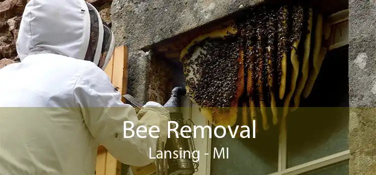 Bee Removal Lansing - MI