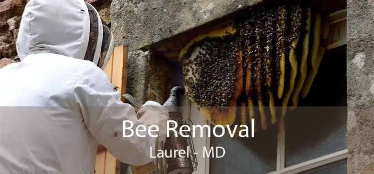 Bee Removal Laurel - MD