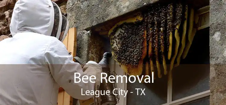 Bee Removal League City - TX
