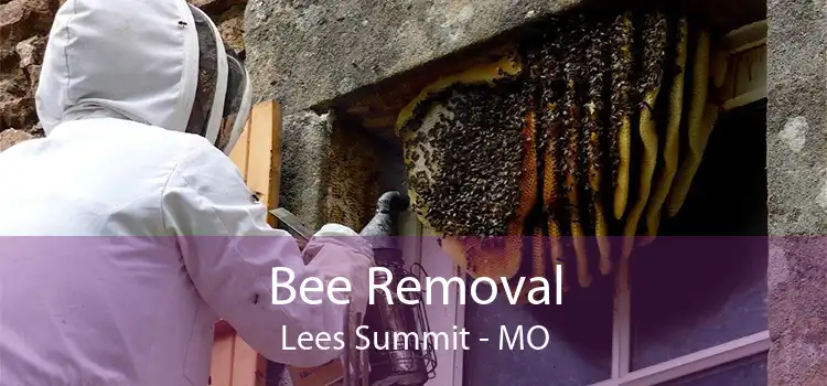 Bee Removal Lees Summit - MO