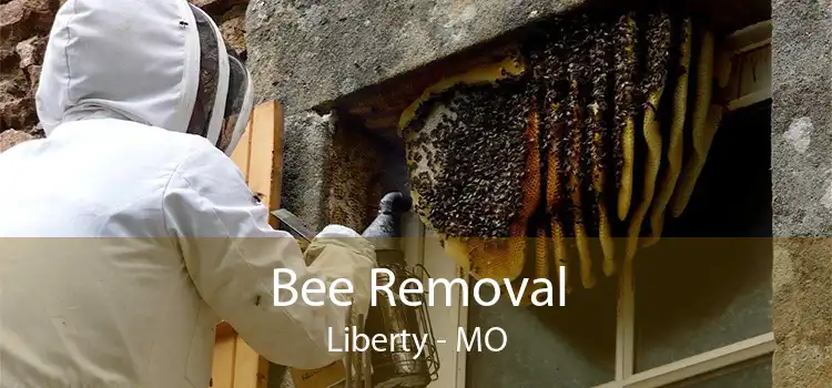 Bee Removal Liberty - MO