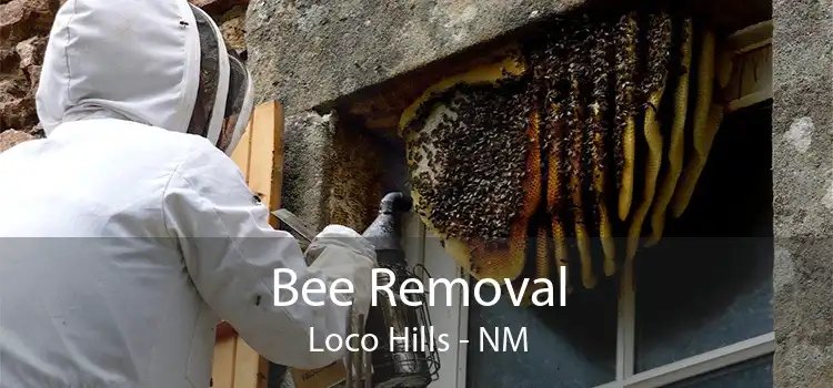Bee Removal Loco Hills - NM