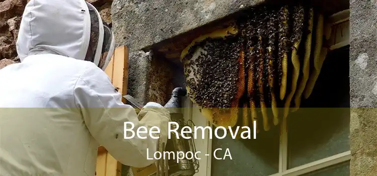 Bee Removal Lompoc - CA