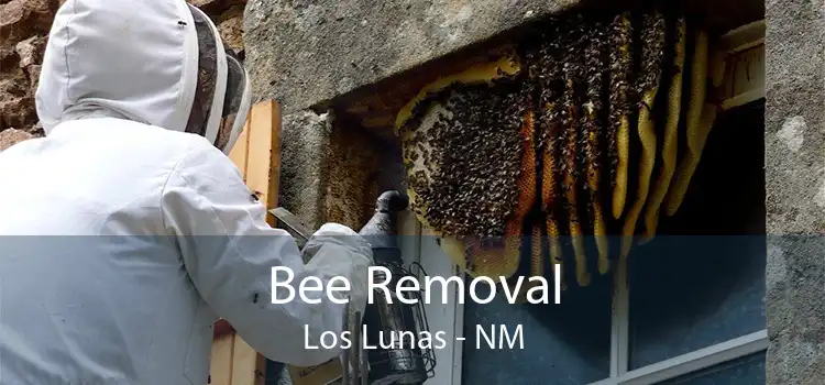 Bee Removal Los Lunas - NM
