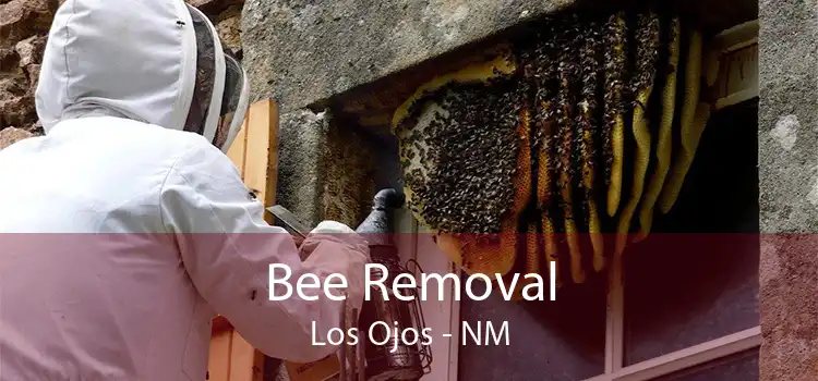 Bee Removal Los Ojos - NM