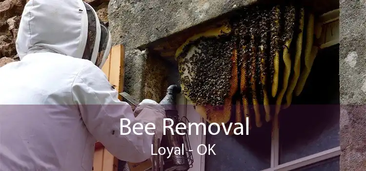 Bee Removal Loyal - OK