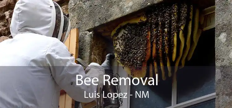 Bee Removal Luis Lopez - NM