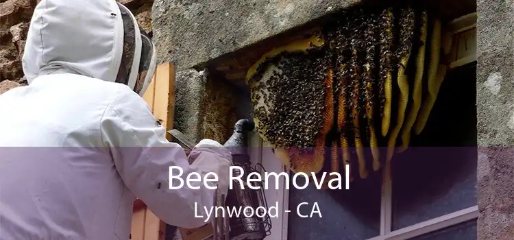 Bee Removal Lynwood - CA