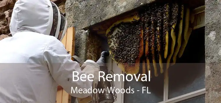 Bee Removal Meadow Woods - FL