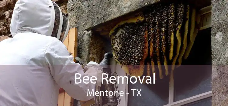 Bee Removal Mentone - TX
