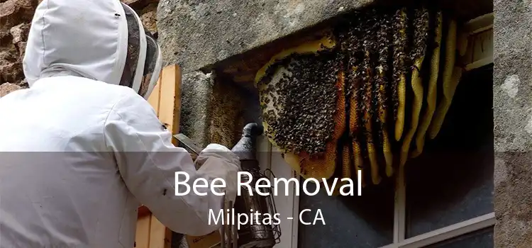 Bee Removal Milpitas - CA