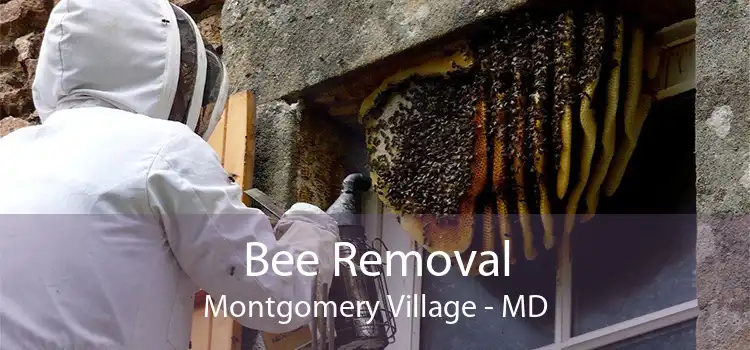 Bee Removal Montgomery Village - MD