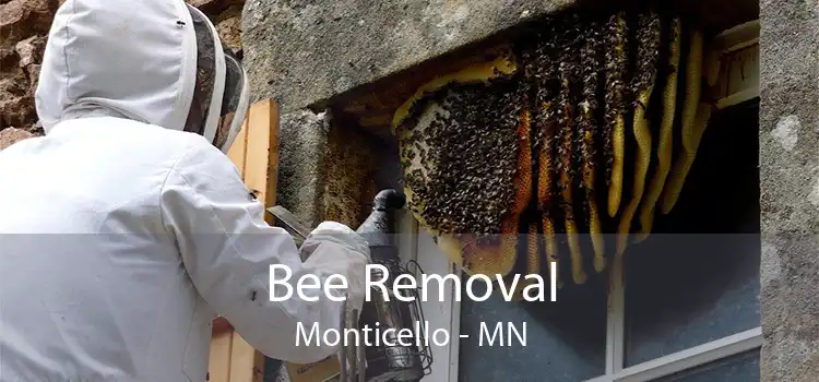 Bee Removal Monticello - MN