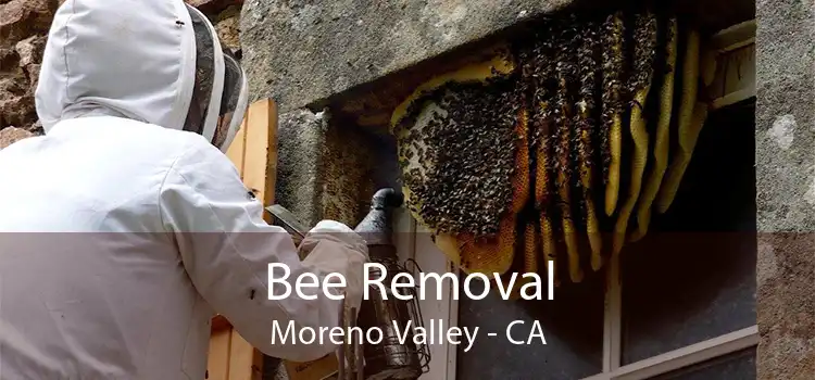 Bee Removal Moreno Valley - CA