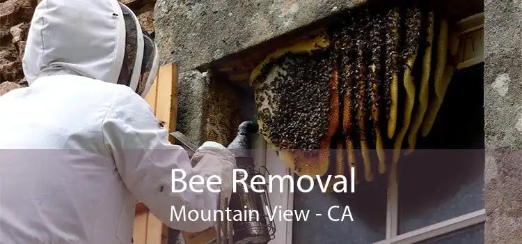 Bee Removal Mountain View - CA