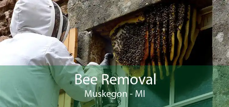 Bee Removal Muskegon - MI