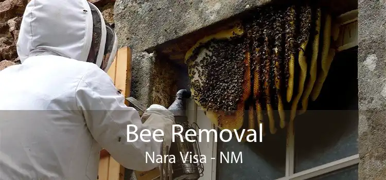 Bee Removal Nara Visa - NM