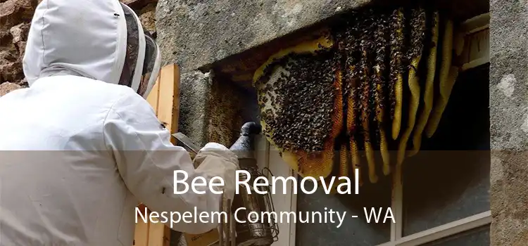 Bee Removal Nespelem Community - WA