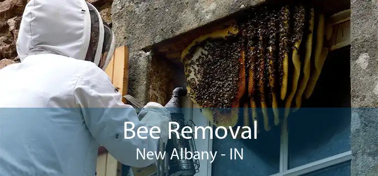Bee Removal New Albany - IN