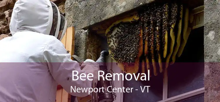 Bee Removal Newport Center - VT