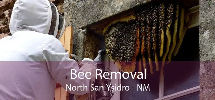 Bee Removal North San Ysidro - NM