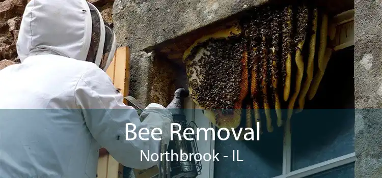 Bee Removal Northbrook - IL