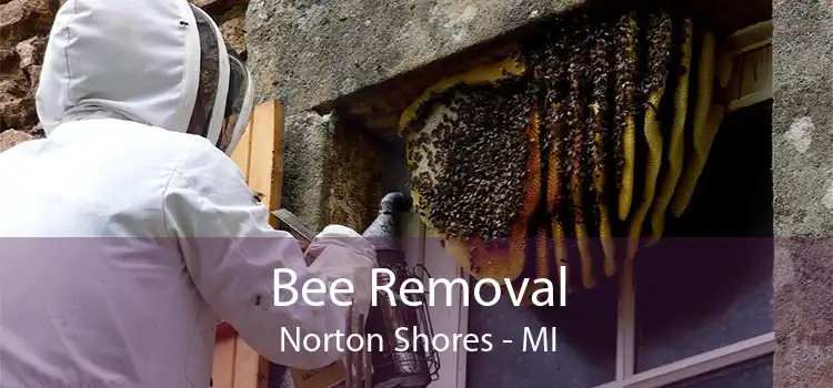 Bee Removal Norton Shores - MI