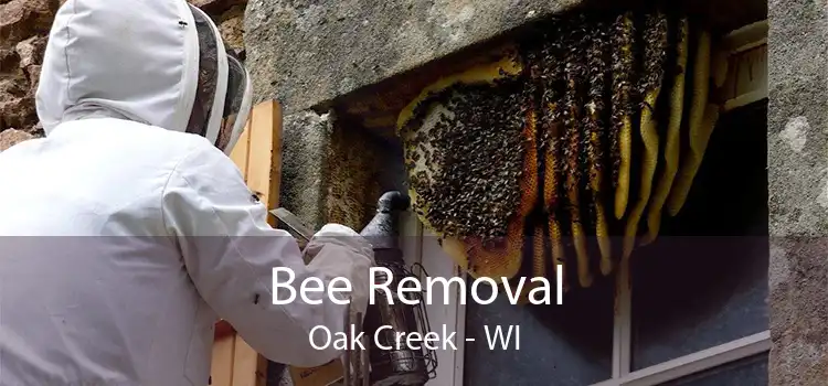 Bee Removal Oak Creek - WI