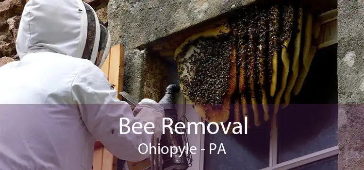 Bee Removal Ohiopyle - PA