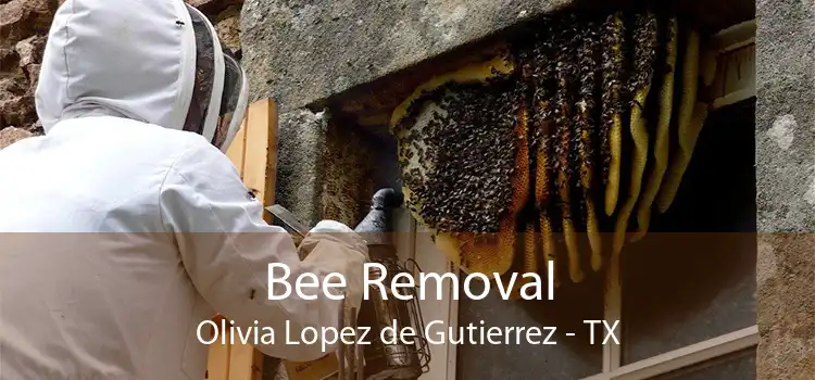 Bee Removal Olivia Lopez de Gutierrez - TX