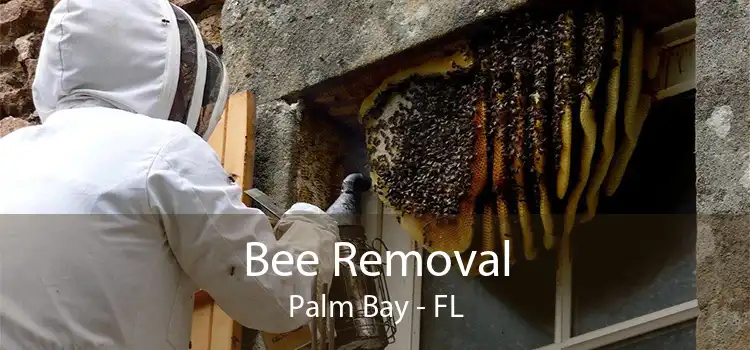 Bee Removal Palm Bay - FL