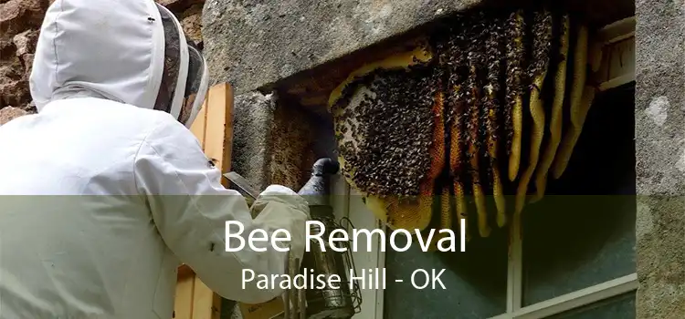 Bee Removal Paradise Hill - OK
