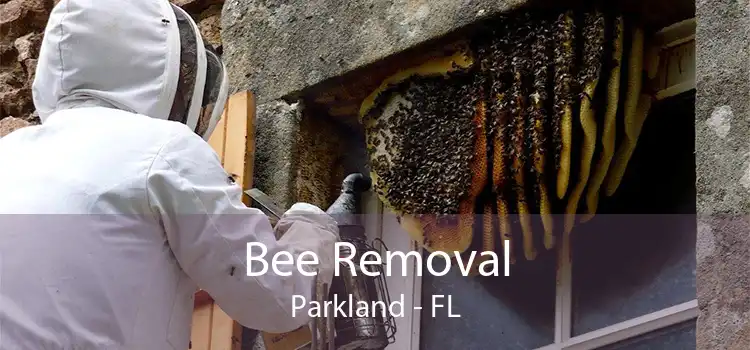 Bee Removal Parkland - FL