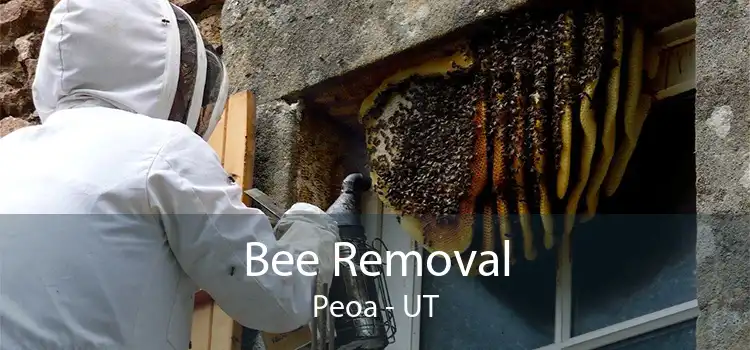 Bee Removal Peoa - UT