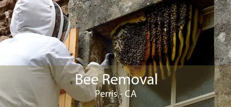 Bee Removal Perris - CA