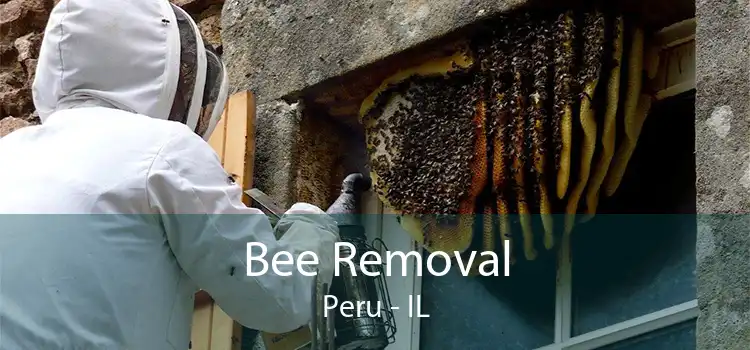 Bee Removal Peru - IL