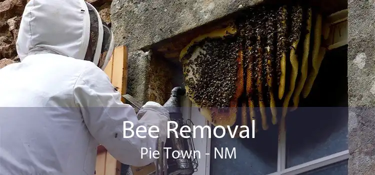Bee Removal Pie Town - NM