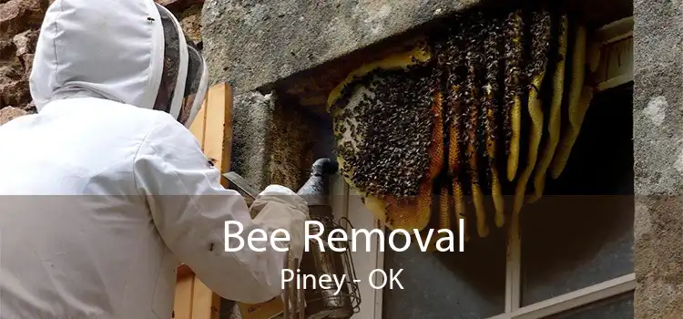 Bee Removal Piney - OK