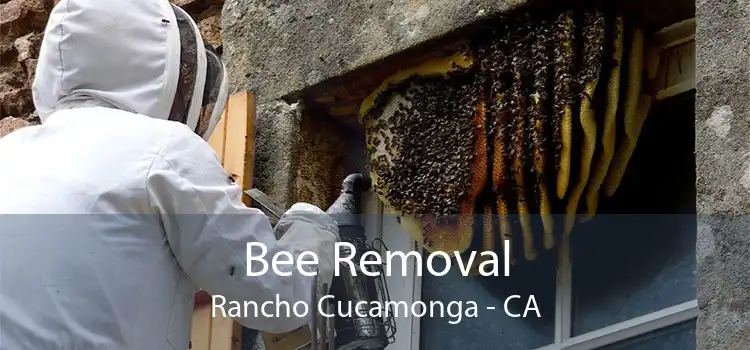 Bee Removal Rancho Cucamonga - CA